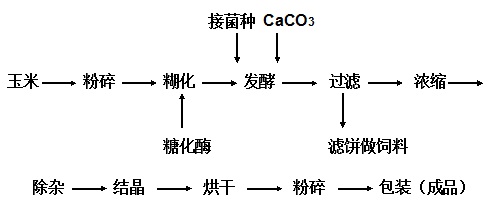 發(fā)酵法的工藝流程圖